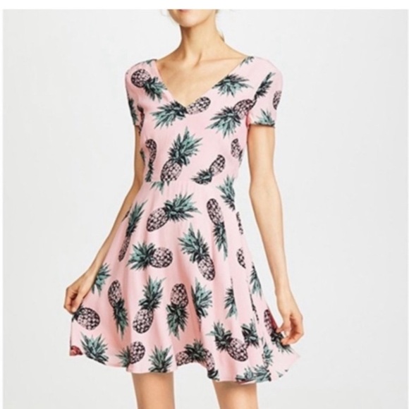 BB Dakota Dresses & Skirts - BB DAKOTA Leni Peach Pineapple Print Fit and Flare Dress Size 2